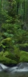 Модульные 17-003mod-2 фотообои на флизелиновой основе, 1x2.7м