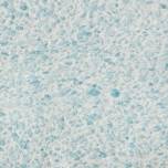 Silk Plaster Рельеф 329 жидкие обои